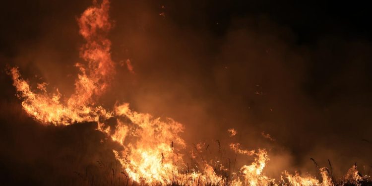 Sicilya Adası’ndaki orman yangınları yerleşim yerlerini tehdit ediyor