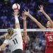 Filenin Sultanları Macaristan’ı 3-0 yendi