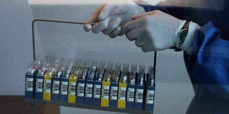 Belçika’da Batı Nil virüsü vakası 10’a yükseldi