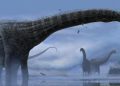 Afrika’da 210 milyon yıllık yeni bir dinozor türü keşfedildi