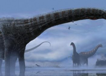 Afrika’da 210 milyon yıllık yeni bir dinozor türü keşfedildi