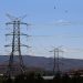 Almanya’da RWE’nin enerji hatlarının yakınında füze fırlatma düzenekleri bulundu