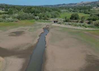 WMO: Dünya genelindeki nehirler, 2025’te son 35 yılın en kurak dönemlerinden birini yaşadı