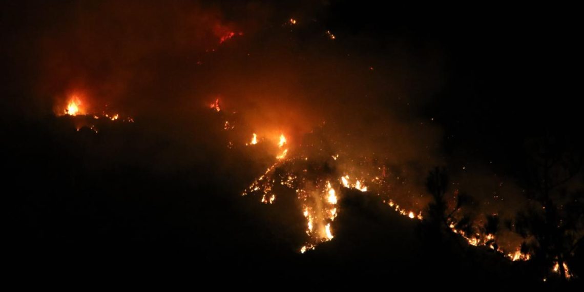 WMO: Orman yangınları ve sıcaklar, küresel hava kalitesini iyileştirme çabalarını baltalama riski taşıyor