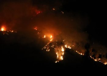 WMO: Orman yangınları ve sıcaklar, küresel hava kalitesini iyileştirme çabalarını baltalama riski taşıyor