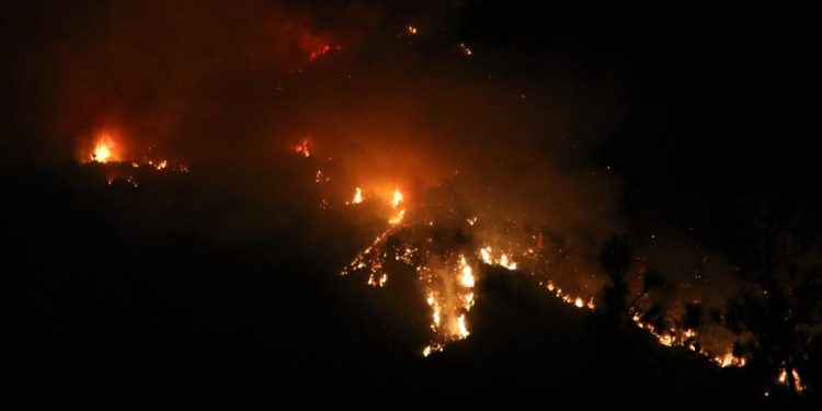 WMO: Orman yangınları ve sıcaklar, küresel hava kalitesini iyileştirme çabalarını baltalama riski taşıyor