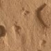 NASA Mars’ta gizemli delikler buldu