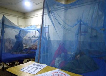 Bangladeş’te yıl başından bu yana dang humması nedeniyle ölenlerin sayısı 364’e çıktı