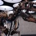 New York’taki müzayedede Nanotyrannus iskeleti 47,3 milyon dolara satıldı