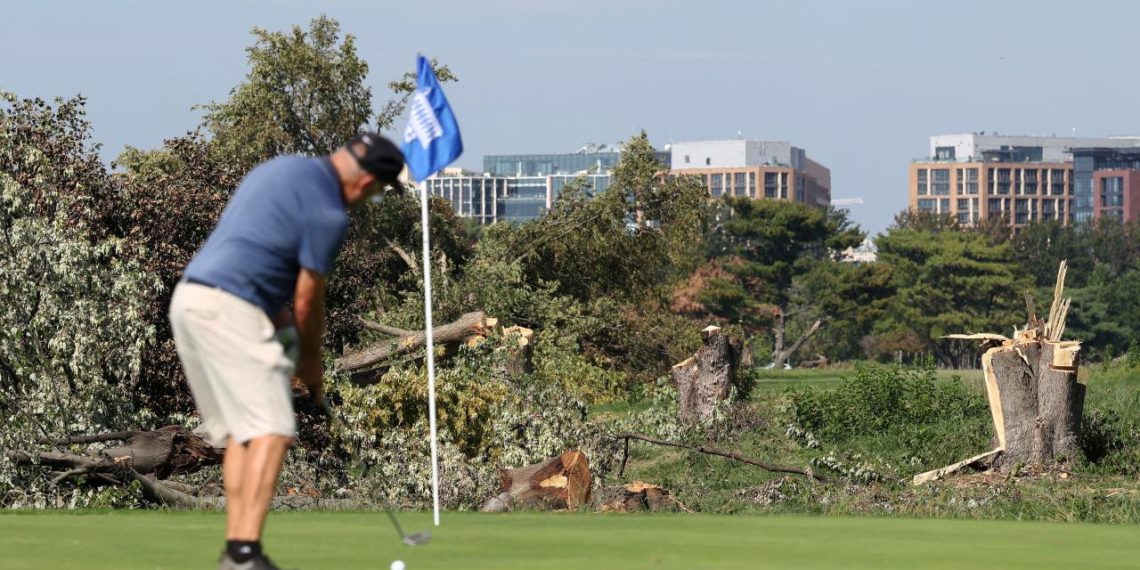 ABD’de yargıç, Trump yönetiminin Washington’daki golf sahasında yaptığı ağaç kesimini durdurdu
